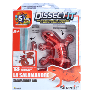DISSECT-IT - LA SALAMANDRE À DISSÉQUER